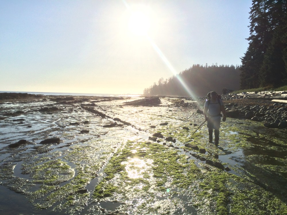 Great when the tide is out!