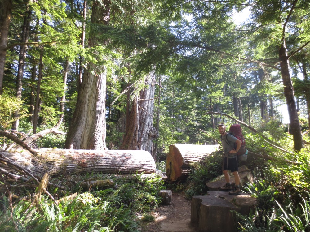 Who cut through this?